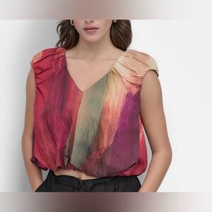 DKNY Red and Beige V-Neck Blouse